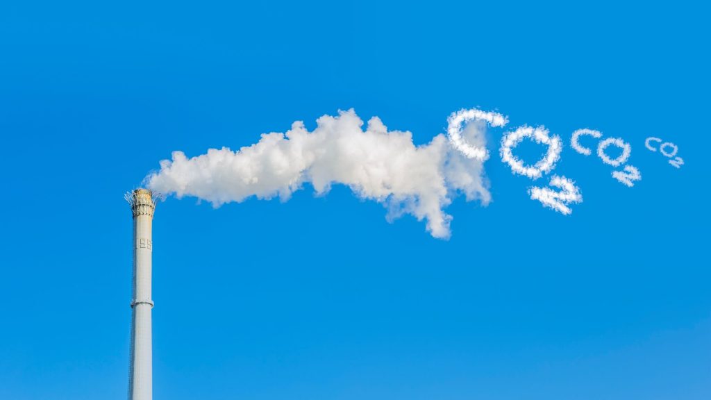 ปรับตัวกับ Green Shipping ด้วยพาร์ทเนอร์ PSS Shipping เพื่อนำเข้าสินค้าจากจีนอย่างคุ้มค่าและมีประสิทธิภาพ