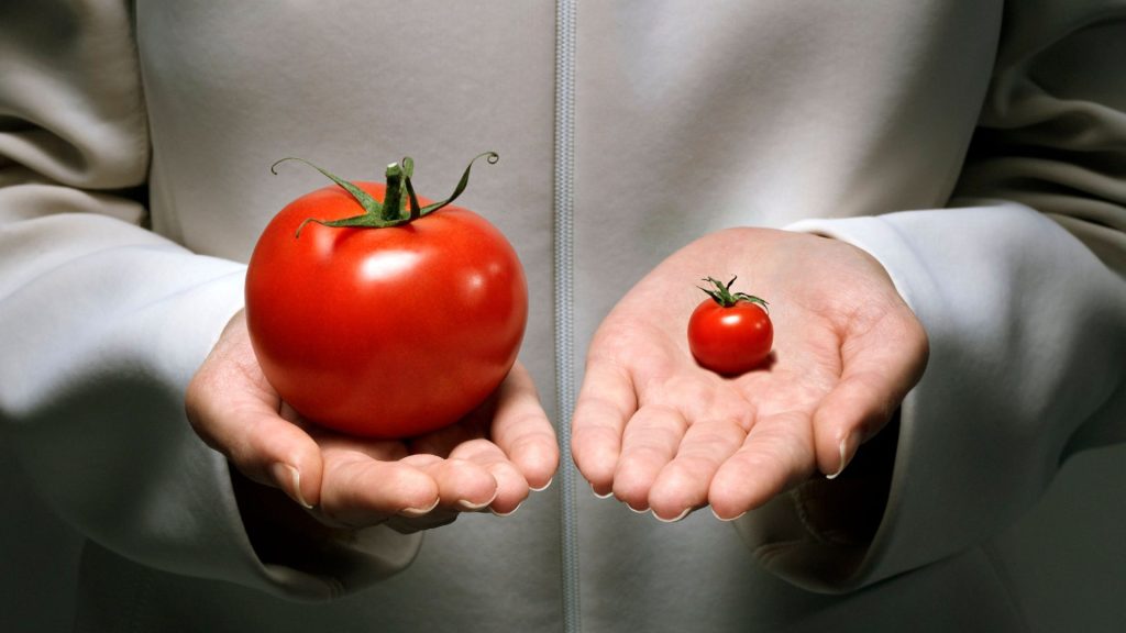 เปลี่ยนความเสี่ยงให้เป็นความได้เปรียบทางธุรกิจ ด้วยบริการจาก PSSportCargo